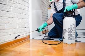 Best Real Estate Pest Inspections  in Hudsonville, MI